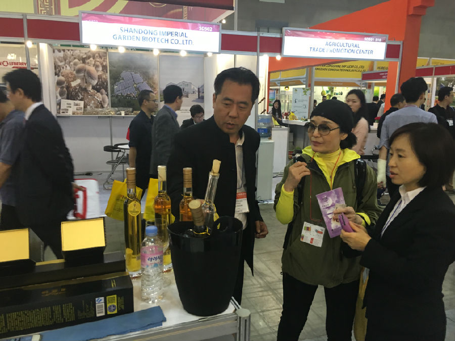 “思帕蒂娜”在韩国首尔惊爆世界各地冰酒爱好者！